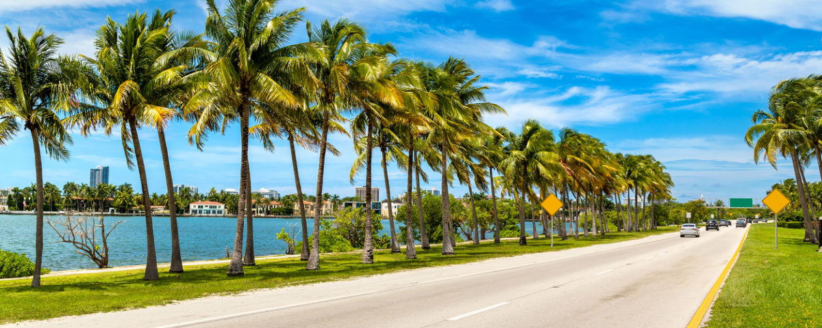 Top 10 Safety Tips You Should Know Before Traveling to Florida