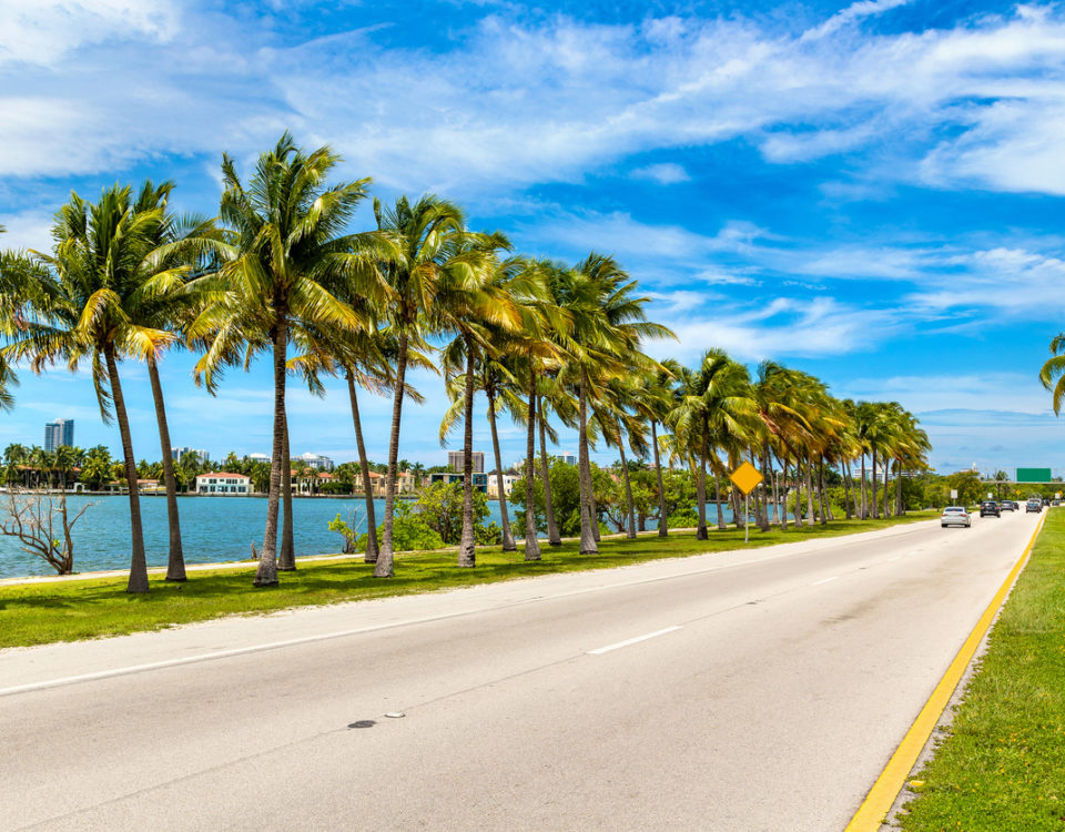 Top 10 Safety Tips You Should Know Before Traveling to Florida